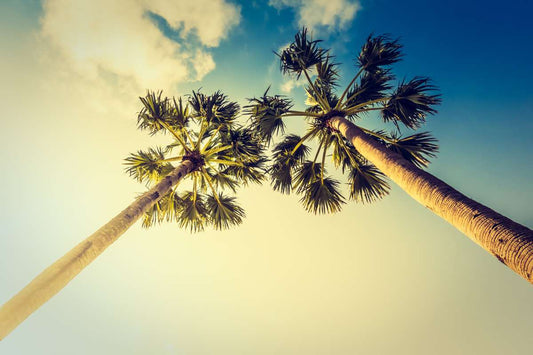 A Fashionista, An Unforgettable Beach, and a Purpose - Soul Pipa